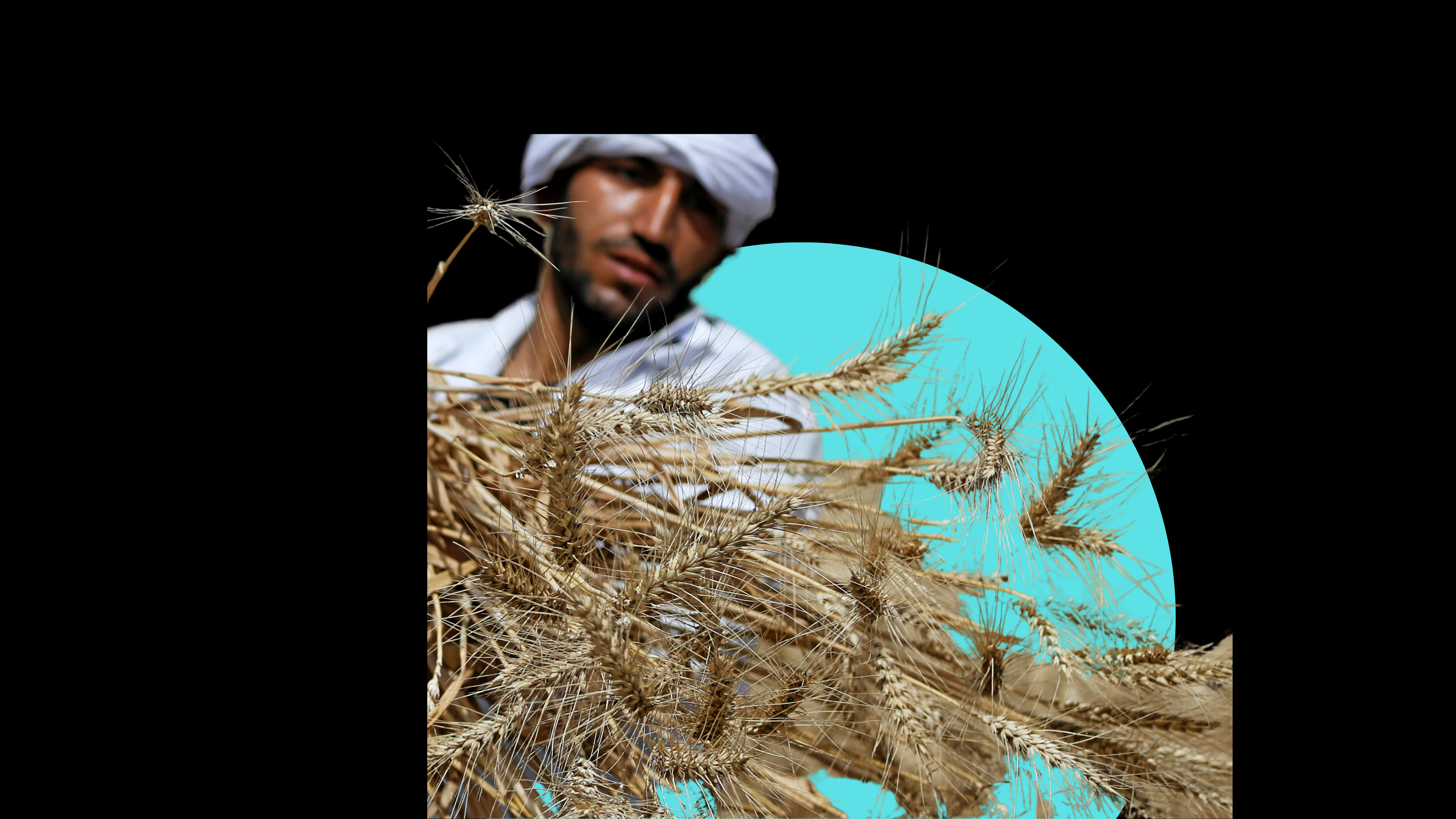 Why Egypt Increased Its Wheat Purchases Tenfold Compared to the Previous Year?
