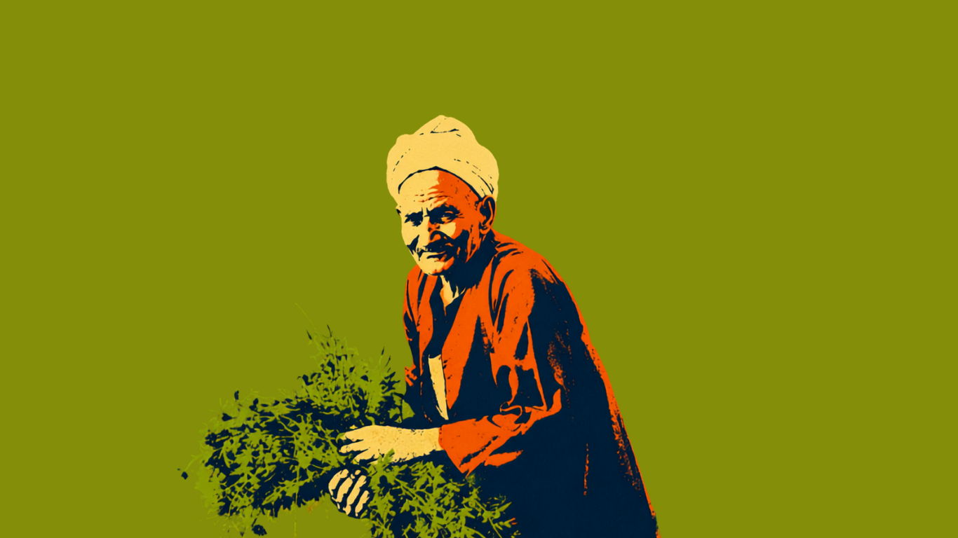 تفتت الحيازات وغياب الدعم والإرشاد.. أزمات تواجه مزارعي مصر الصغار