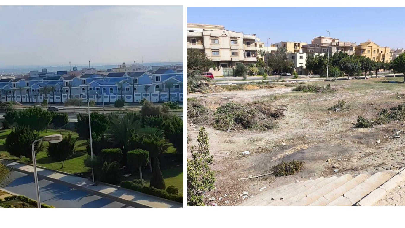 تجريف الحزام الأخضر الذي يعتقد اتحاد الأحياء السكنية أنه يتم لحساب شركة Kuwait Development Group