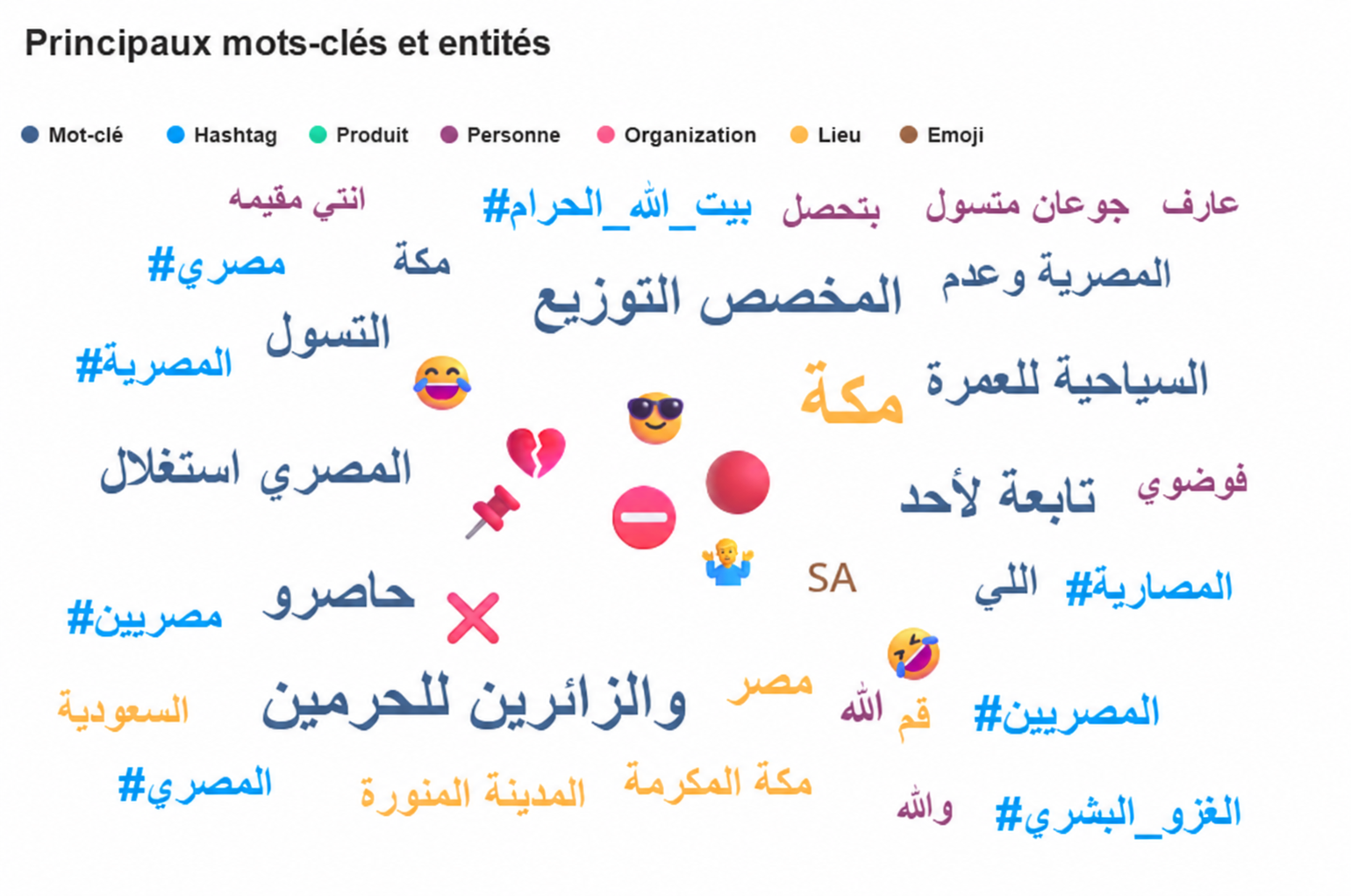 Principaux mots-clés et entités associés au sujet ou à la campagne.