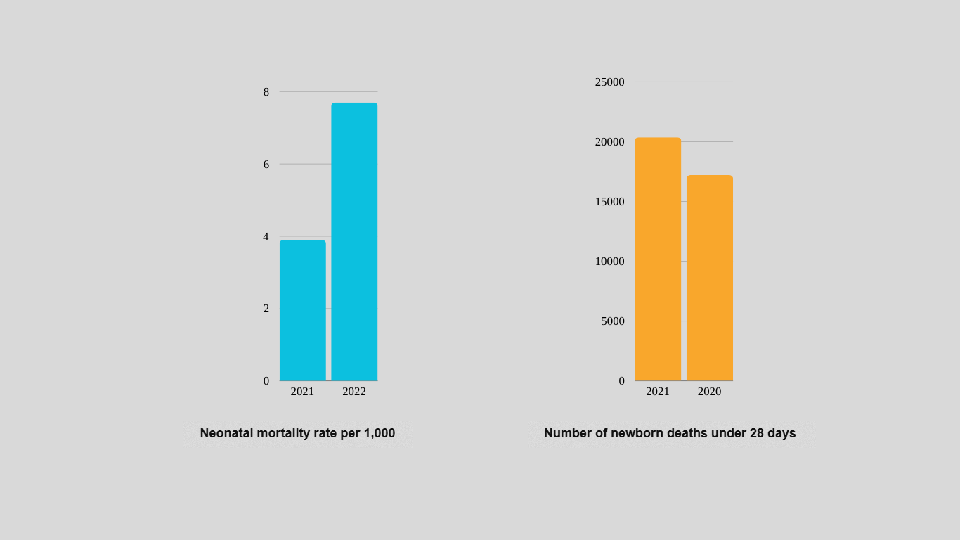Newborn deaths and neonatal mortality rate in Egypt