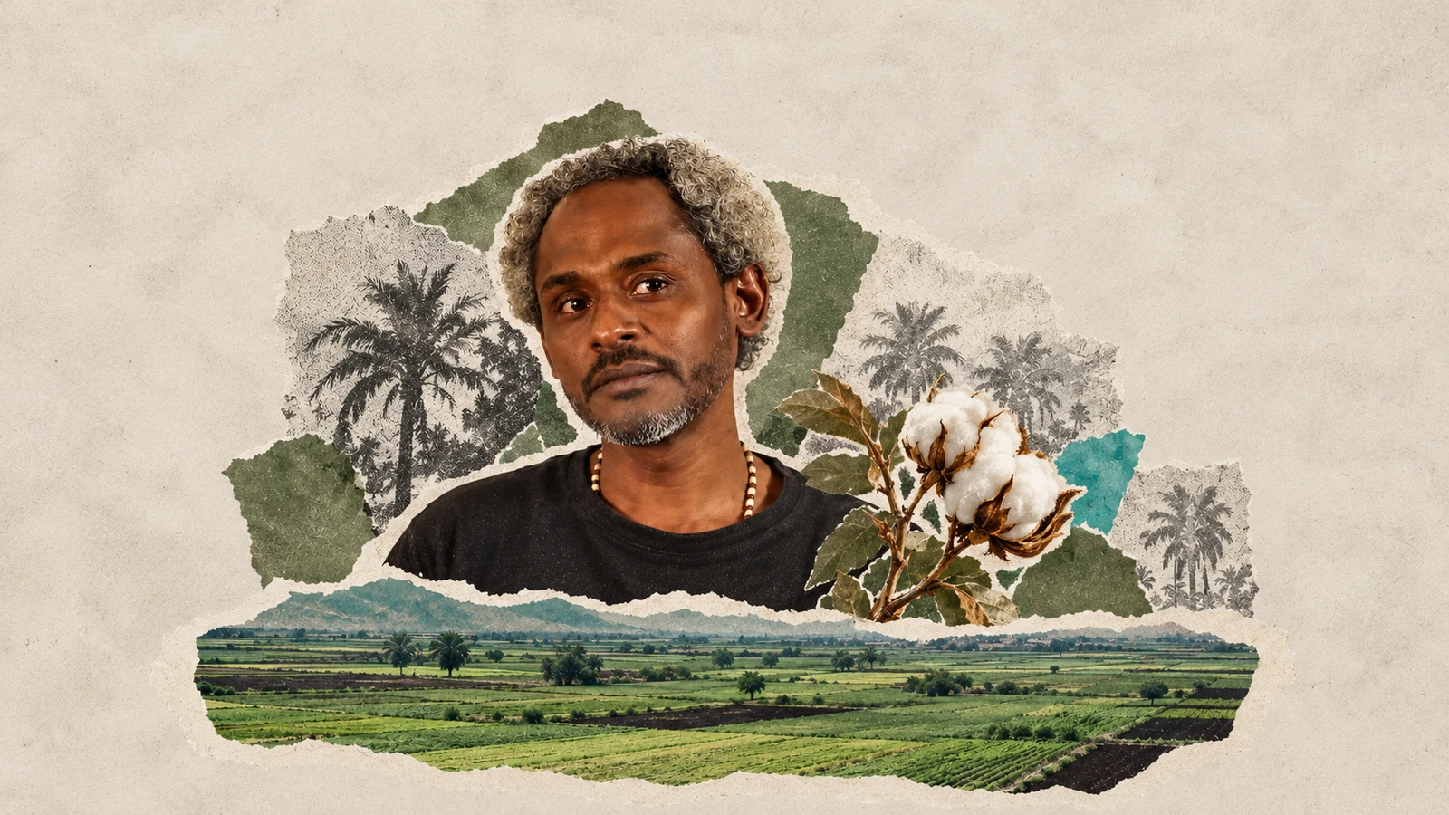 A Hundred Years of Cotton… and a Single Bullet