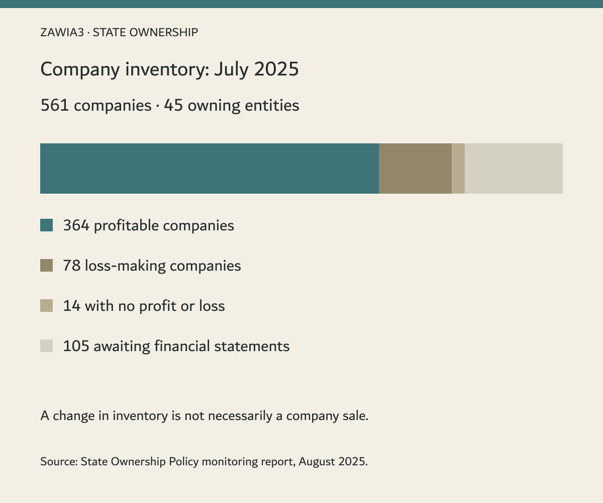 State-participated company inventory and profitability, July 2025