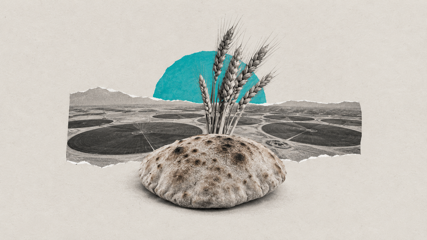 How Are Emirati Investments Reshaping Egypt’s Wheat Sector?